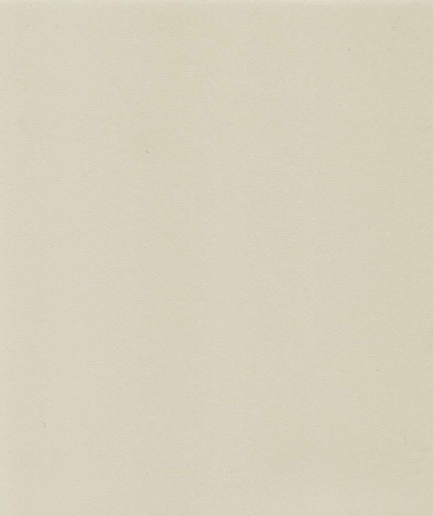 Bege Acinzentado Com Textura Microgranulada